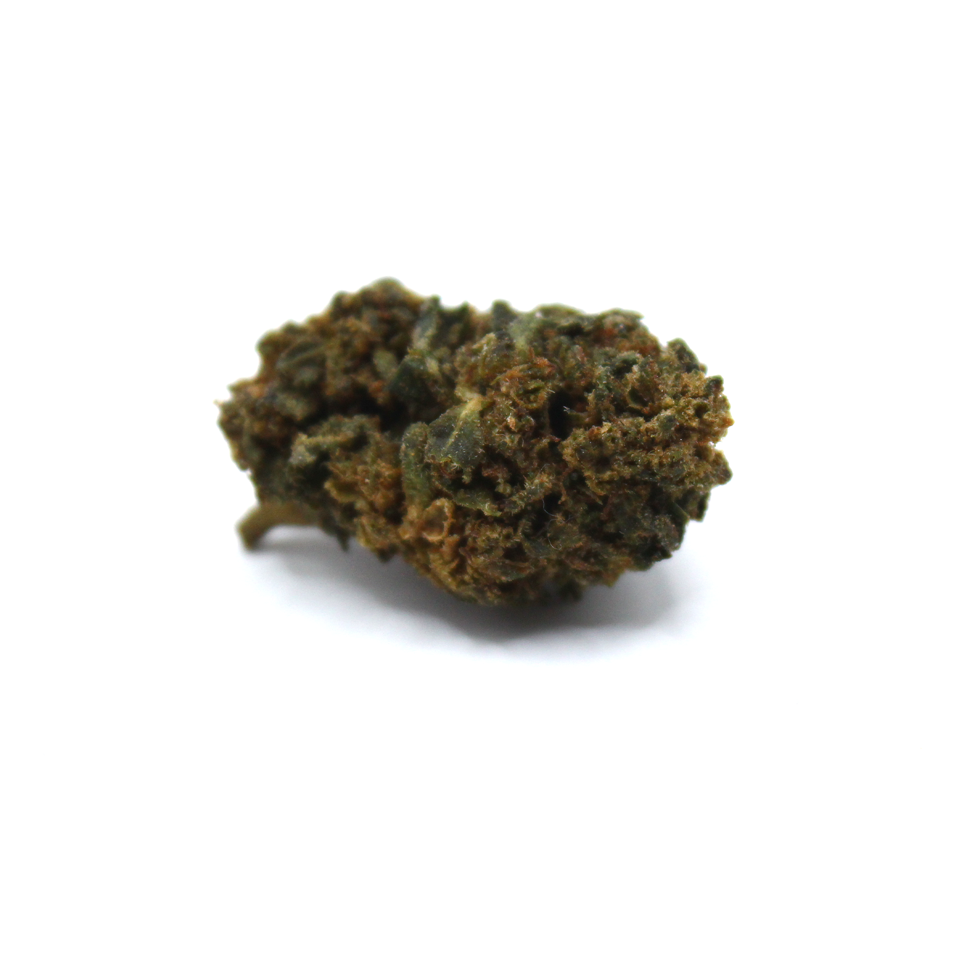 Cannabis topskud med detaljeret struktur og harpiks fotograferet i close-up makrobillede på hvid baggrund.