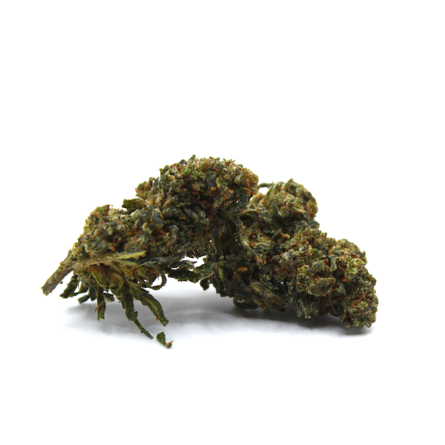 Tætte cannabis buds med mørkegrønne nuancer, små blade og orange pistiller fotograferet i close-up fra lav sidevinkel på hvid baggrund.