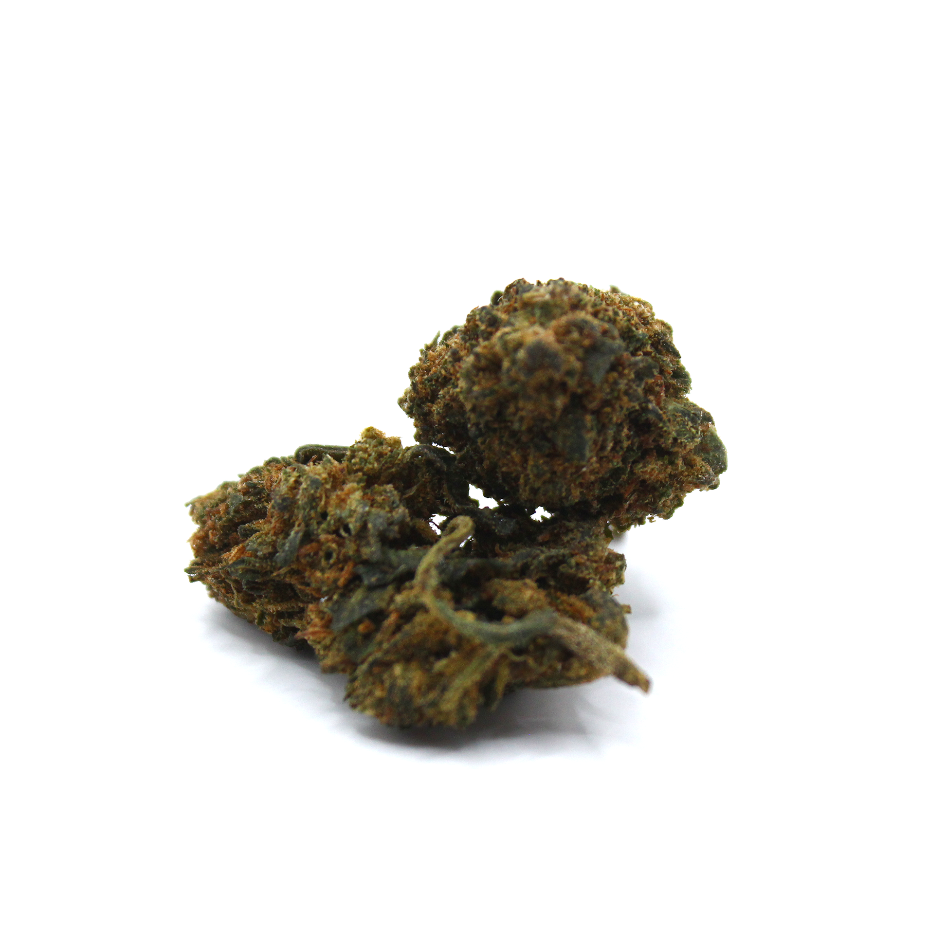 Flere mørkegrønne cannabis buds med orange pistiller og små stilke fotograferet i close-up fra lav sidevinkel på hvid baggrund.