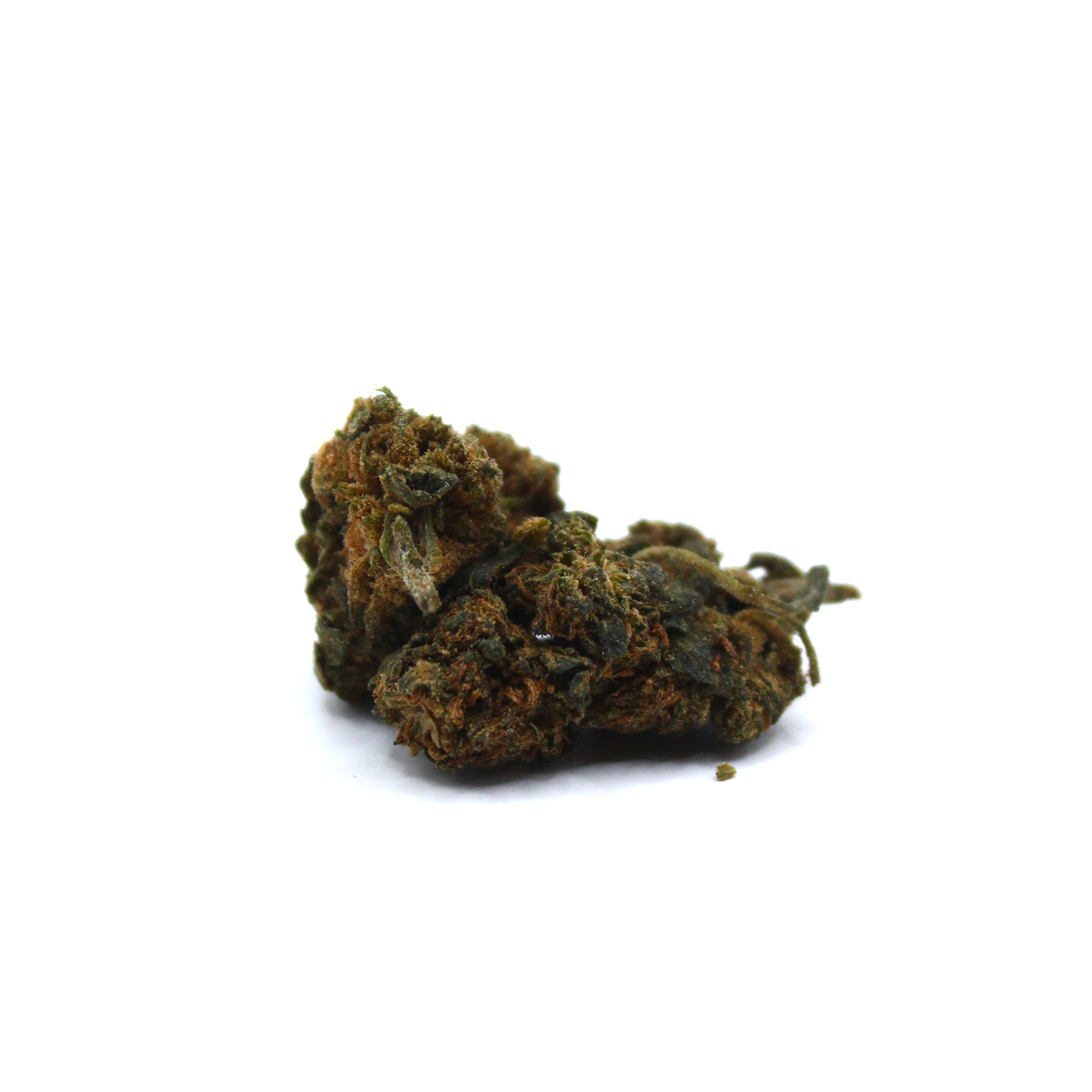 Tætte cannabis buds med mørkegrønne og brune nuancer samt synlige pistiller fotograferet i close-up fra lav sidevinkel på hvid baggrund.