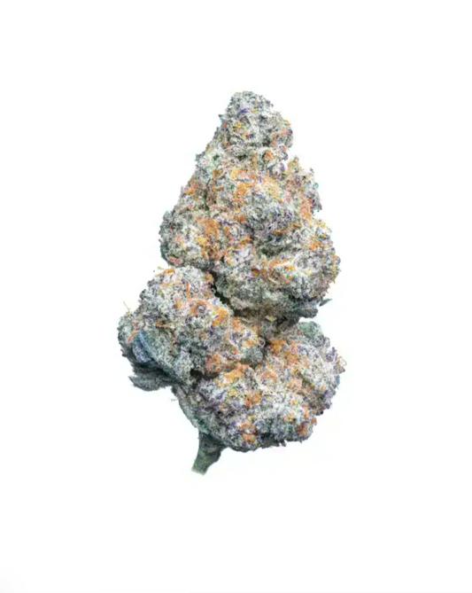 Amnesia Haze cannabis bud med lysgrønne nuancer, hvide krystaller og orange pistiller fotograferet i close-up fra frontvinkel på hvid baggrund.